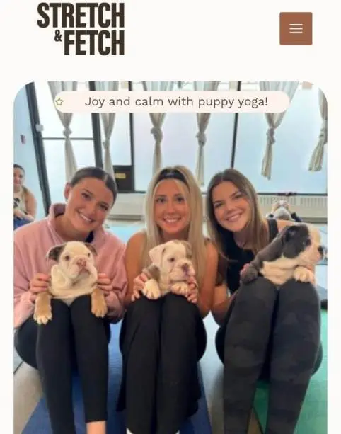 Stretch and Fetch